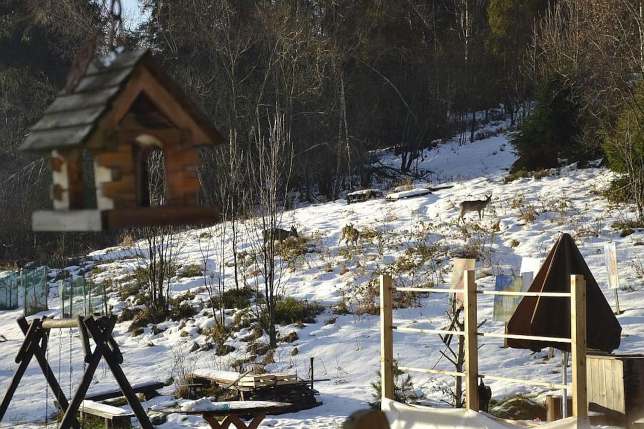Mountain Chalet Smolenisko Domek W Gorach Nowy Targ Exteriör bild