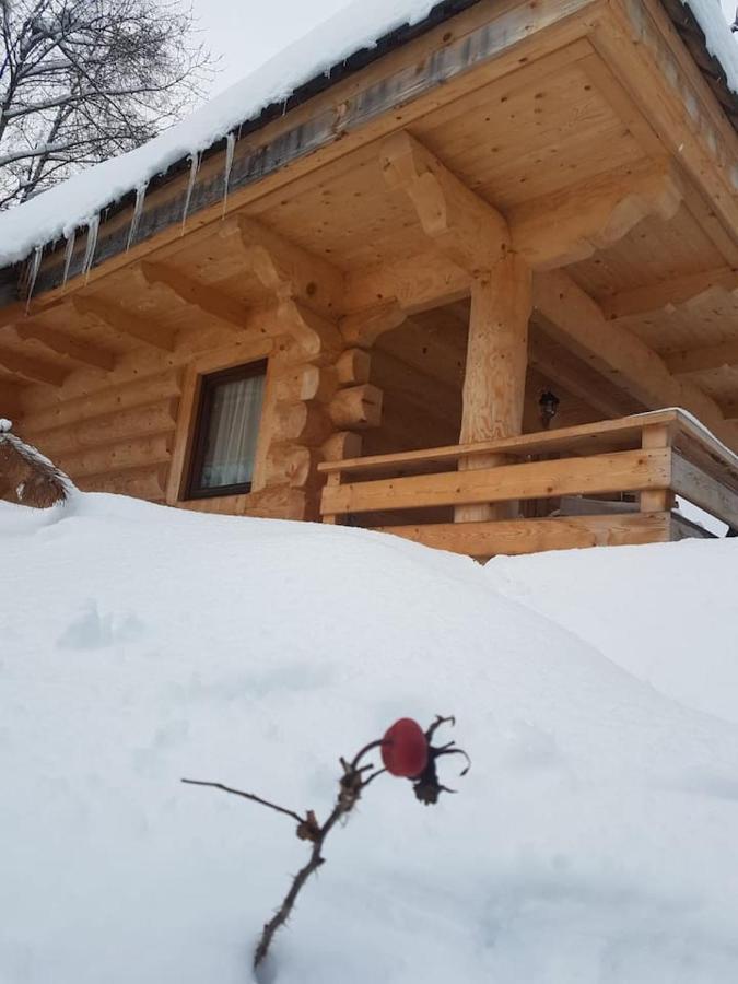 Mountain Chalet Smolenisko Domek W Gorach Nowy Targ Exteriör bild