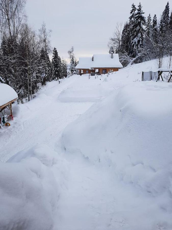 Mountain Chalet Smolenisko Domek W Gorach Nowy Targ Exteriör bild