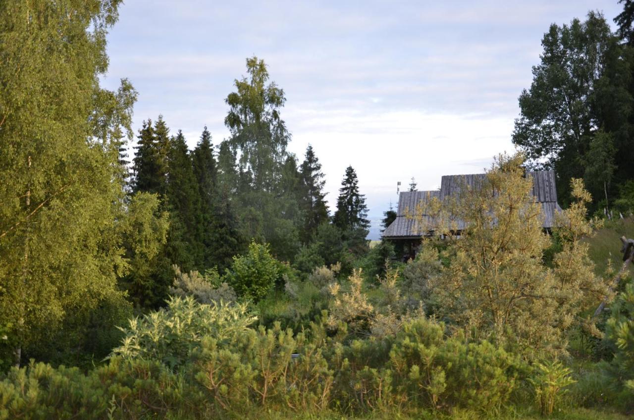 Mountain Chalet Smolenisko Domek W Gorach Nowy Targ Exteriör bild