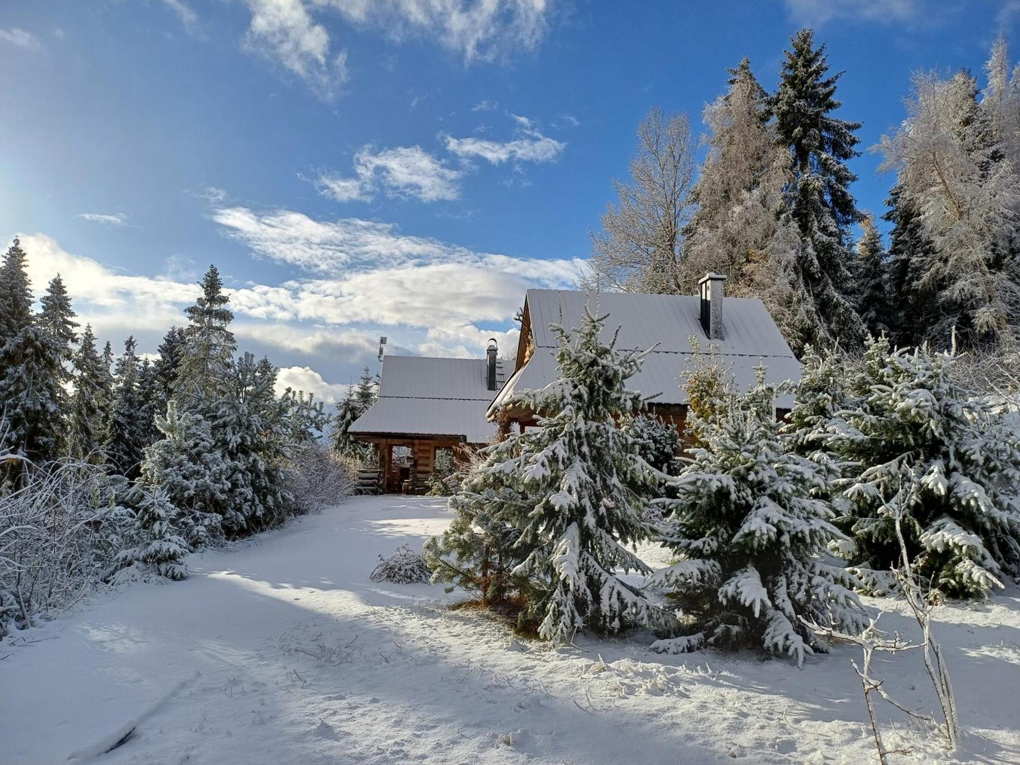 Mountain Chalet Smolenisko Domek W Gorach Nowy Targ Exteriör bild